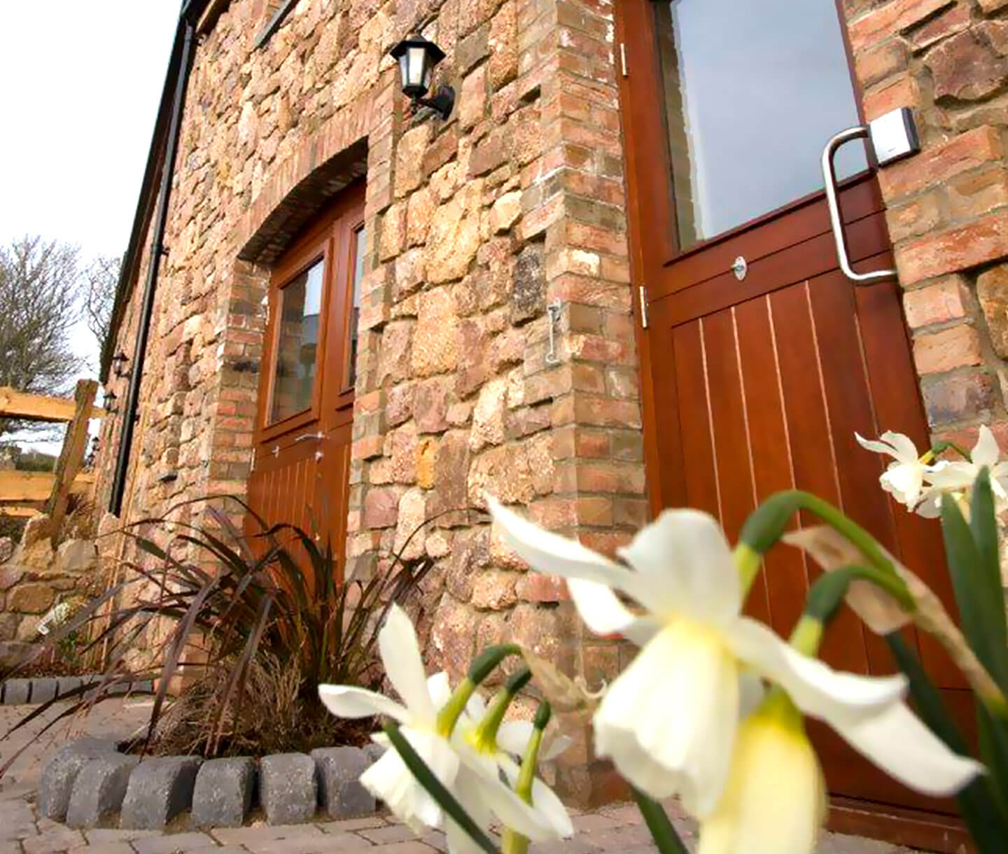 brand design swansea