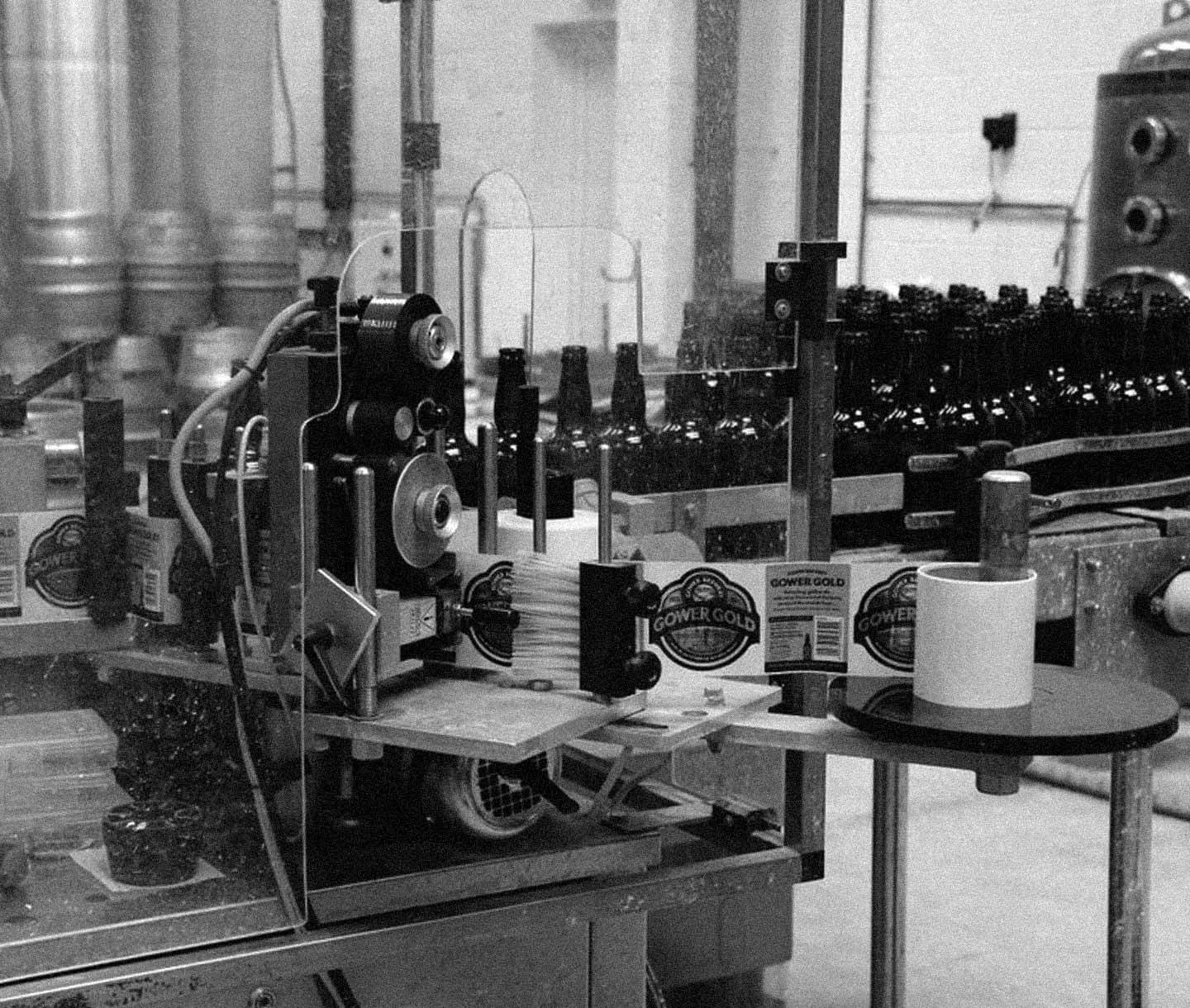 Gower Brewery packaging design Cardiff