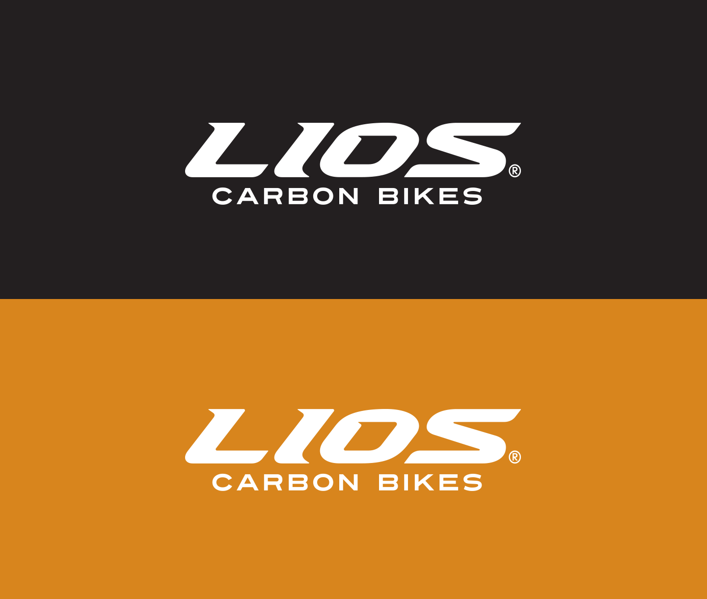 logo reversed in colour blocks