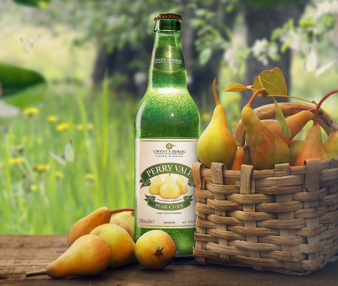 gwynt advertising cardiff