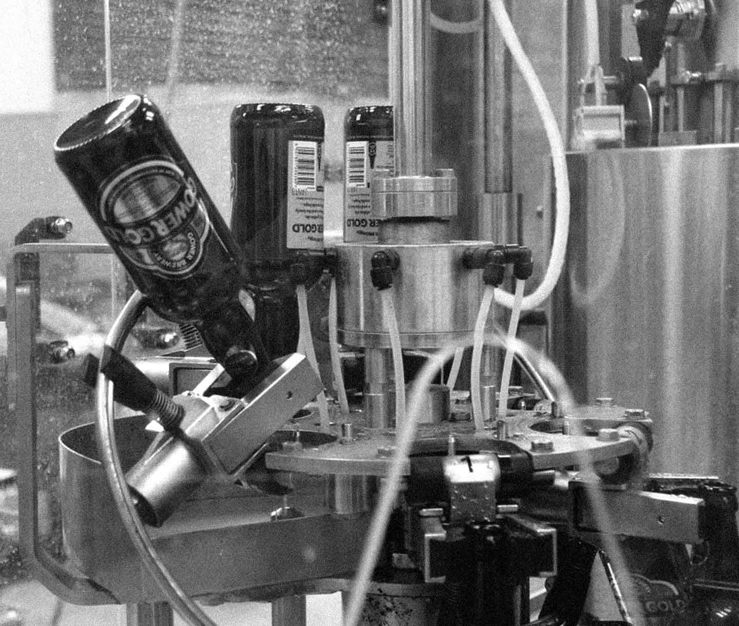 packaging design Cardiff for Gower Brewery