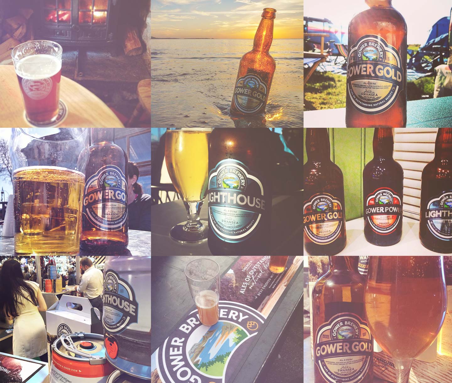 gower branding Cardiff