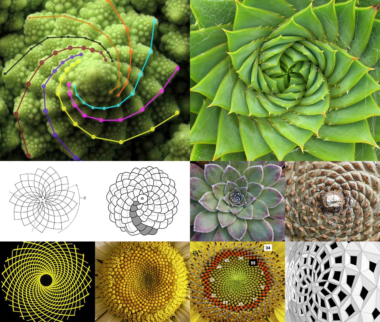 research and inspiration