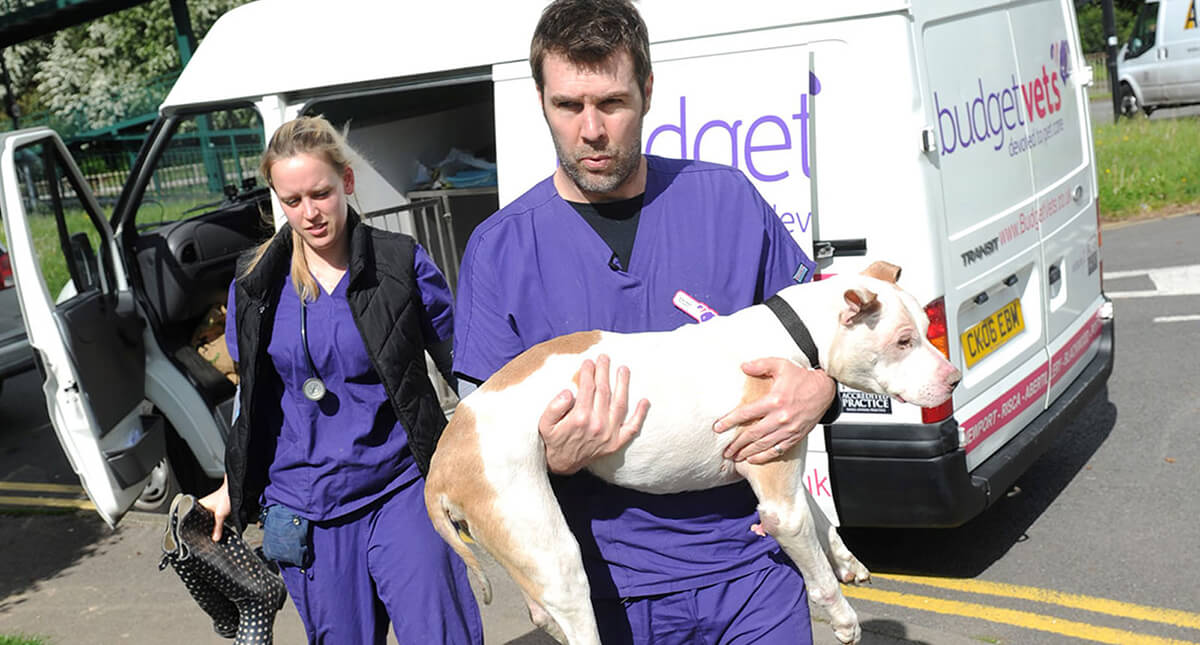 Rhod Gilbert at Budget Vets, Newport