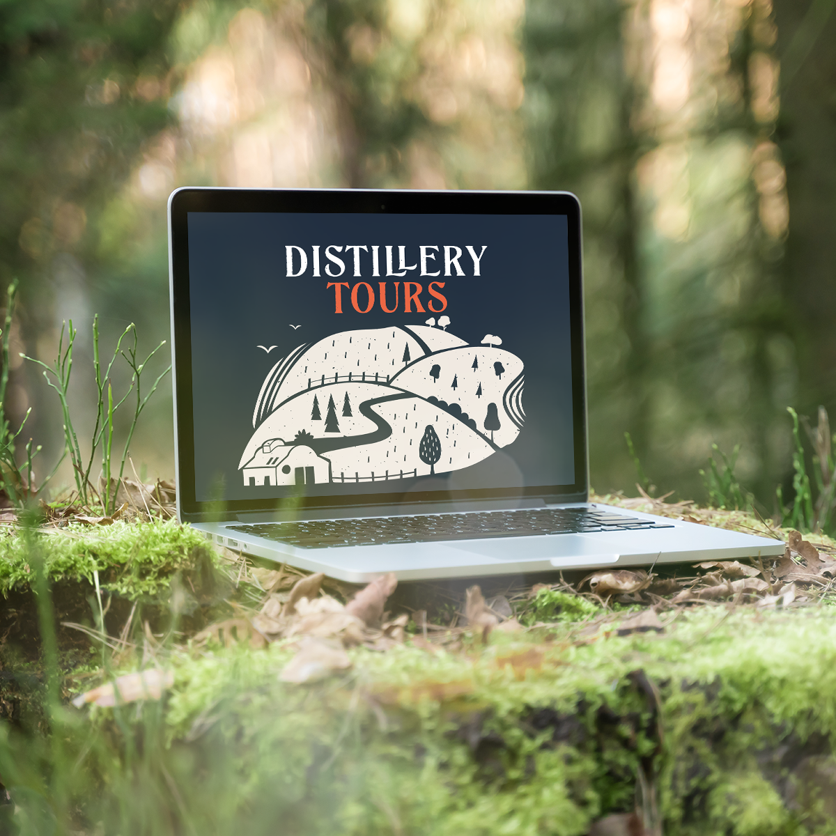 ellers shopify web design