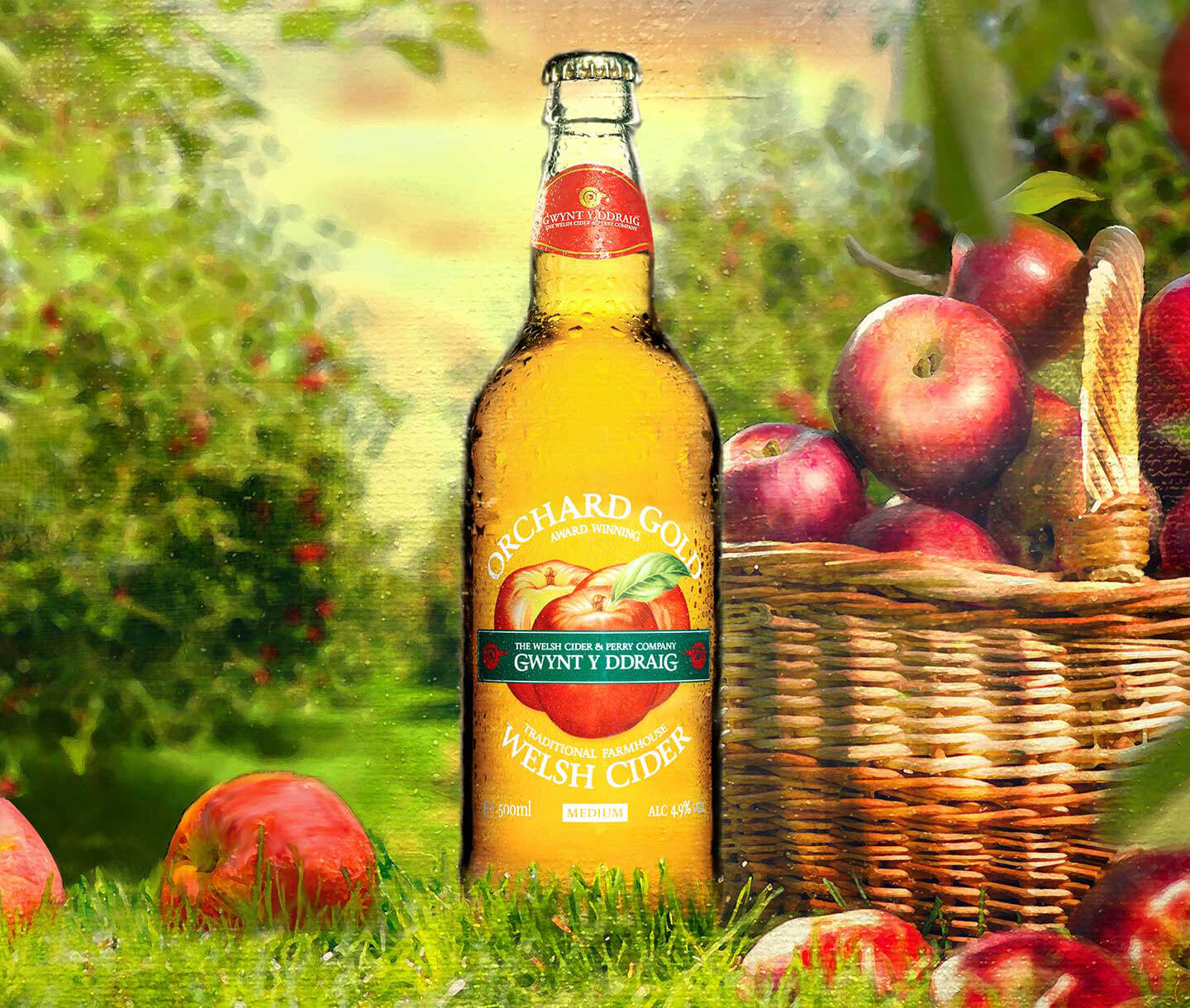 gwynt marketing imagery