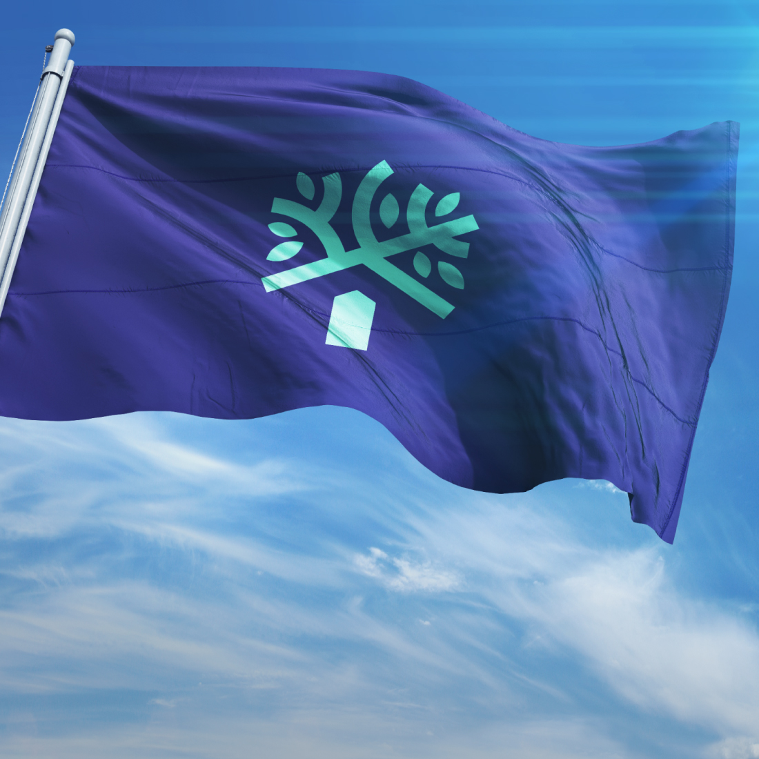 logo before and after