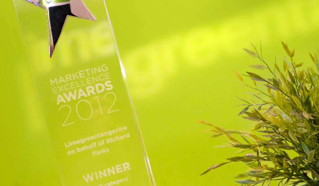 Limegreentangerine marketing award