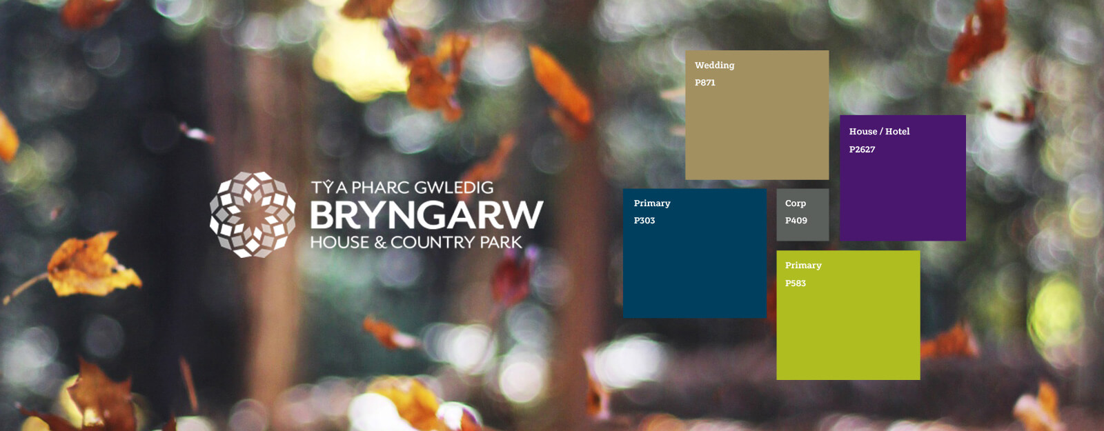 Bryngarw identity