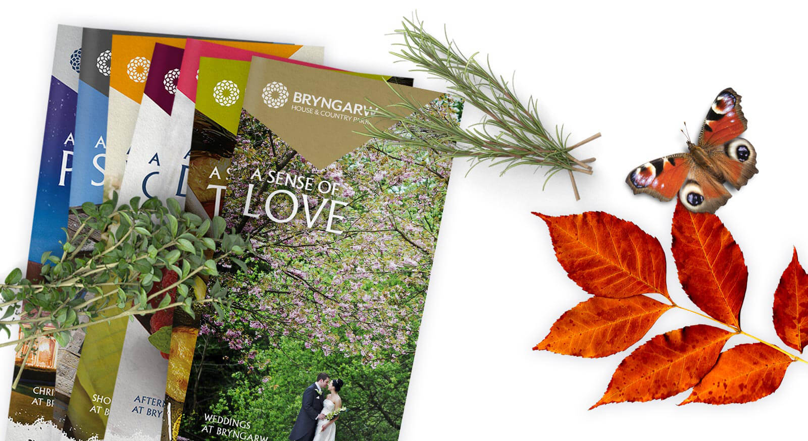 bryngarw literature design