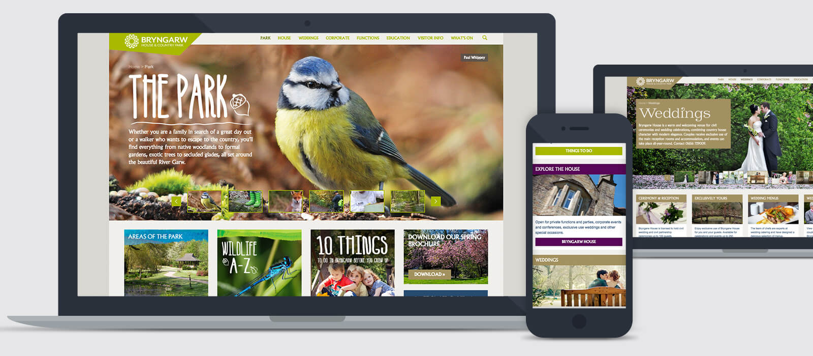 bryngarw website design