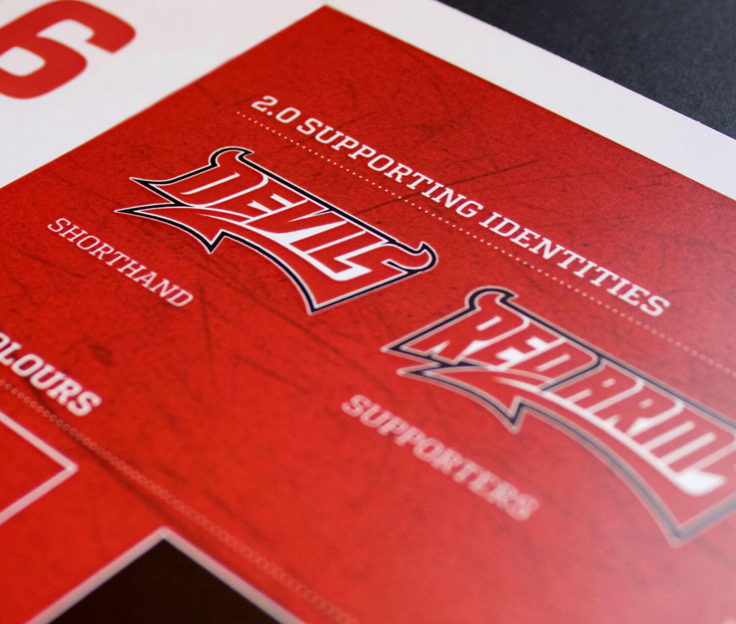 cardiff devils brand guidelines